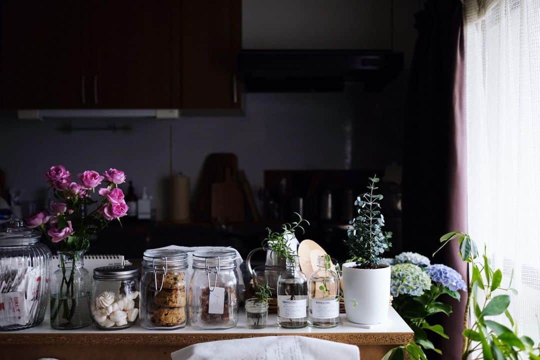 maggydaisyのインスタグラム：「_  雨が多い時期は 家の中に緑が増える🌿  #花のある暮らし #kitchen」