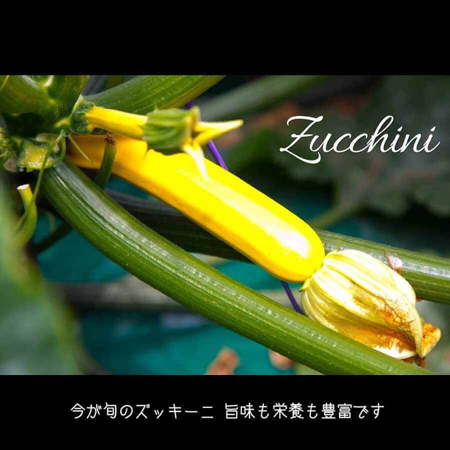 ロイヤルホールヨコハマ【公式サイト】のグルメインスタ