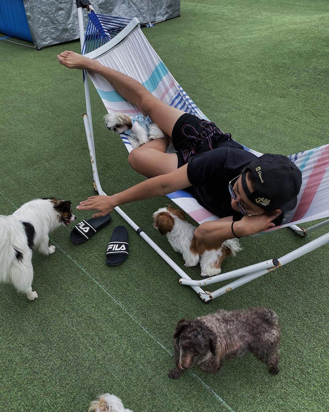 のインスタグラム：「自分の店だけど、ここは本当に人にとっても犬にとっても楽園だと思う🙏🏼🌴 【 @petsalon_pinkbeach 🐶✂️】 【 @dogrescue_anella 🐶👼】」