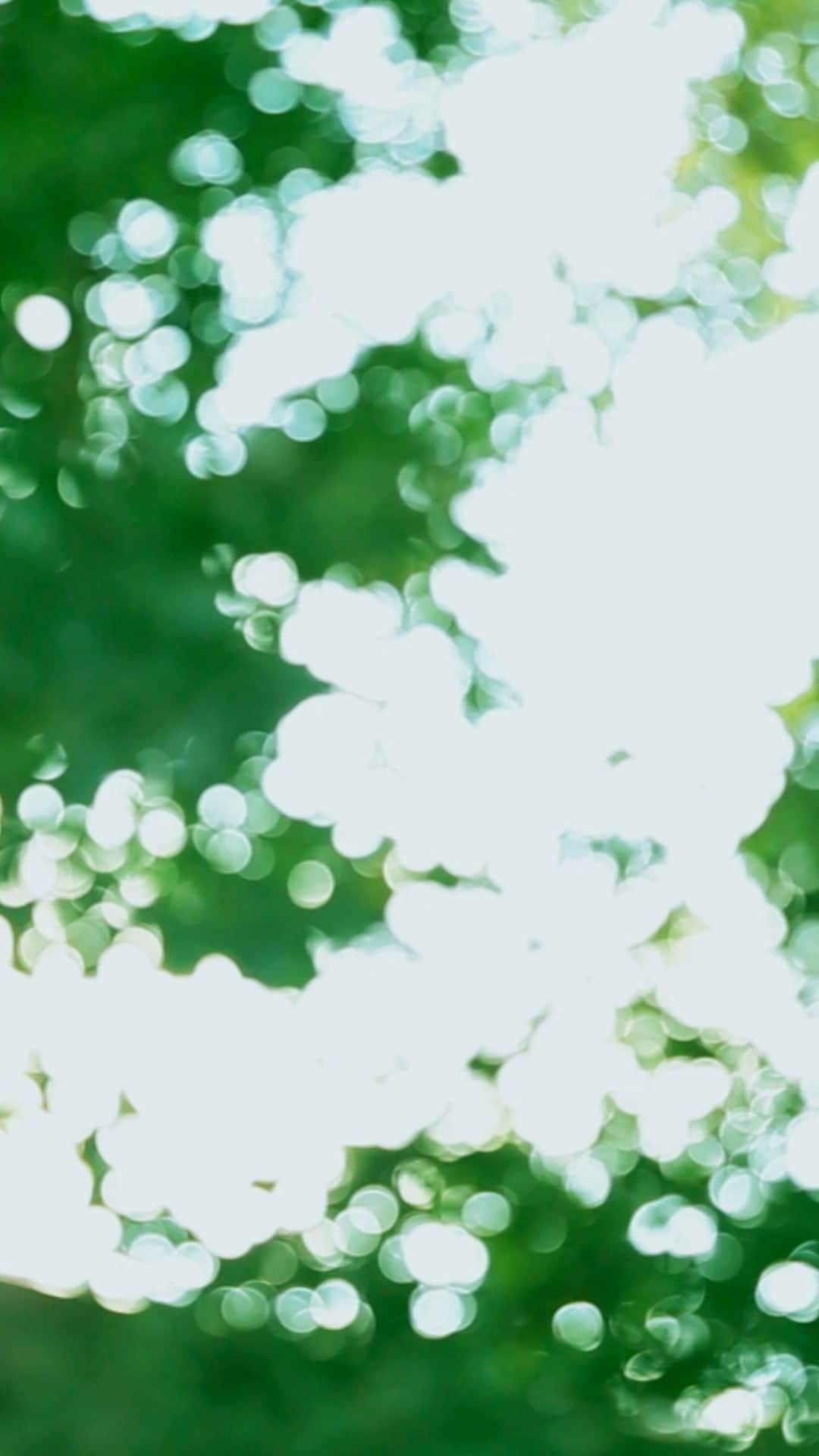 濱田英明のインスタグラム：「Lyric video for @odol_jpn  Director, Camera @hamadahideaki」