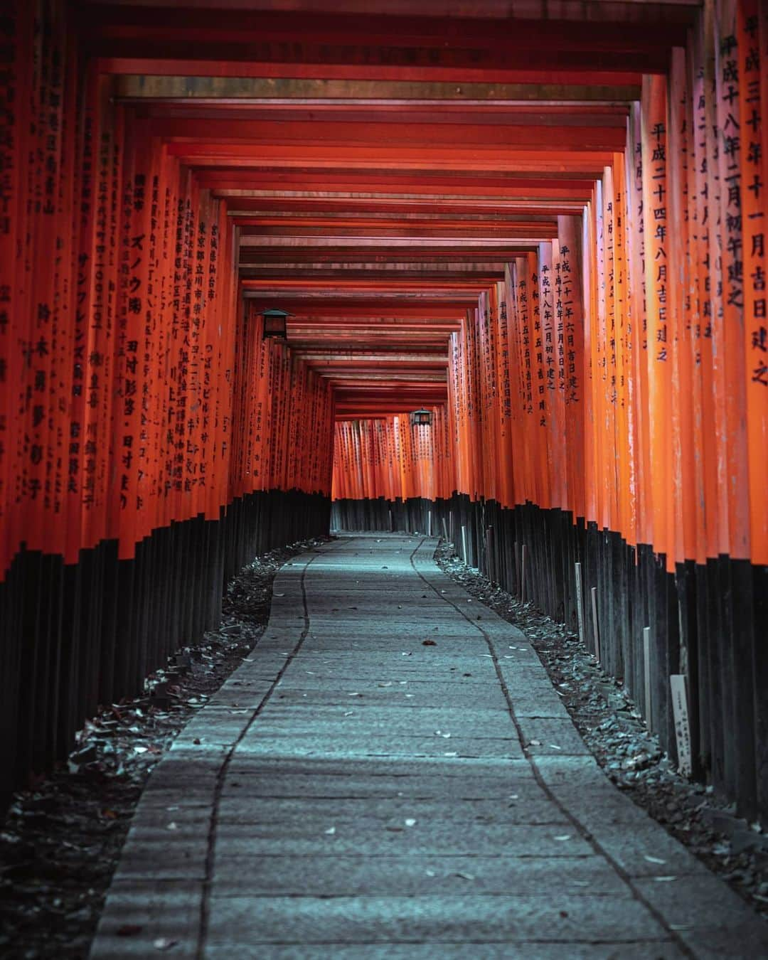 Joshさんのインスタグラム写真 - (JoshInstagram)「I can show you the world. Shining, shimmering, splendid. Any suggestions on where to go next in Japan? . . . . #japan #japanawaits #japan_vacations #explorejapan #discoverjapan #fushimiinari #kyoto #京都 #日本 #伏見稲荷」6月24日 9時06分 - joshtaylorjp