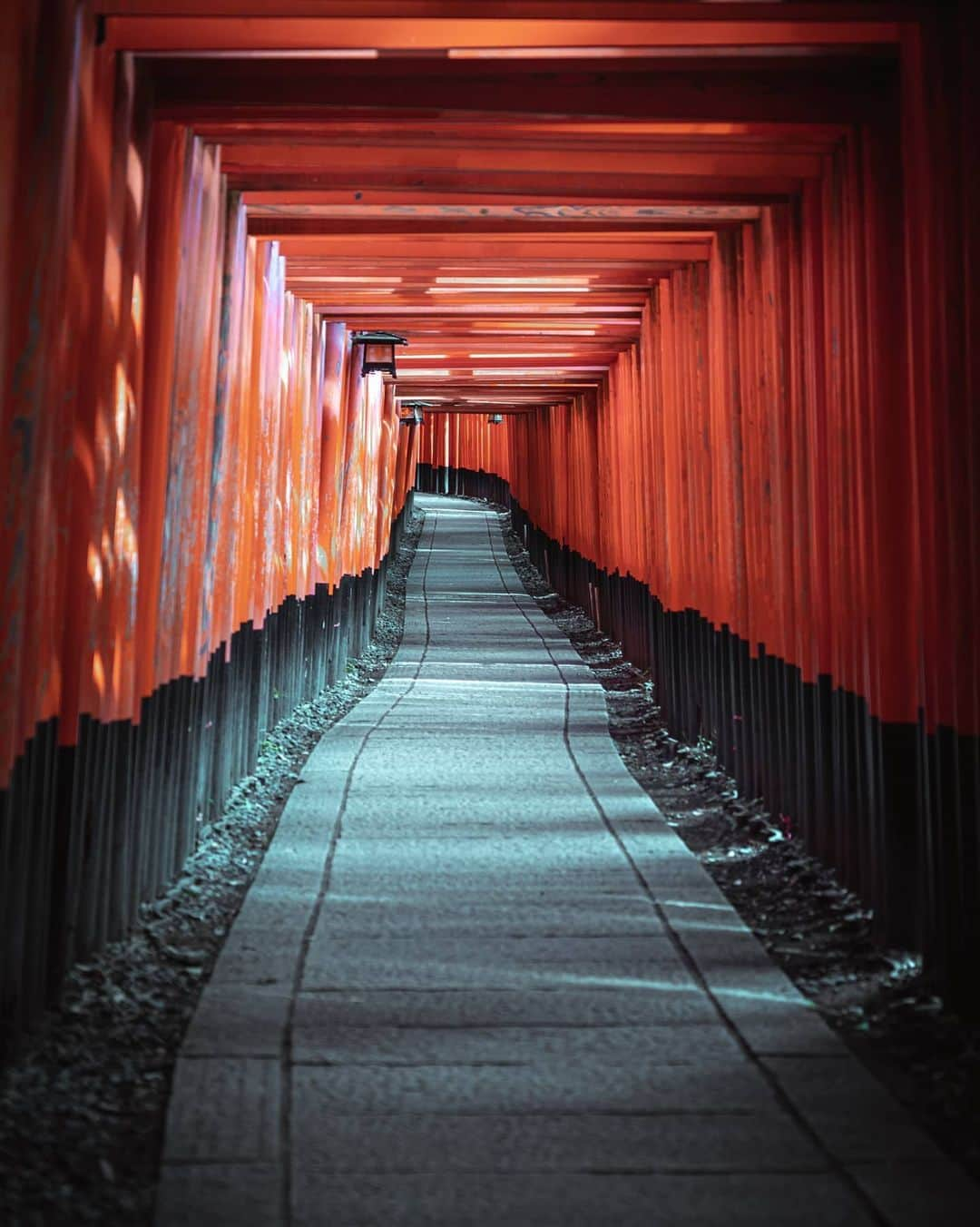 Joshさんのインスタグラム写真 - (JoshInstagram)「I can show you the world. Shining, shimmering, splendid. Any suggestions on where to go next in Japan? . . . . #japan #japanawaits #japan_vacations #explorejapan #discoverjapan #fushimiinari #kyoto #京都 #日本 #伏見稲荷」6月24日 9時06分 - joshtaylorjp