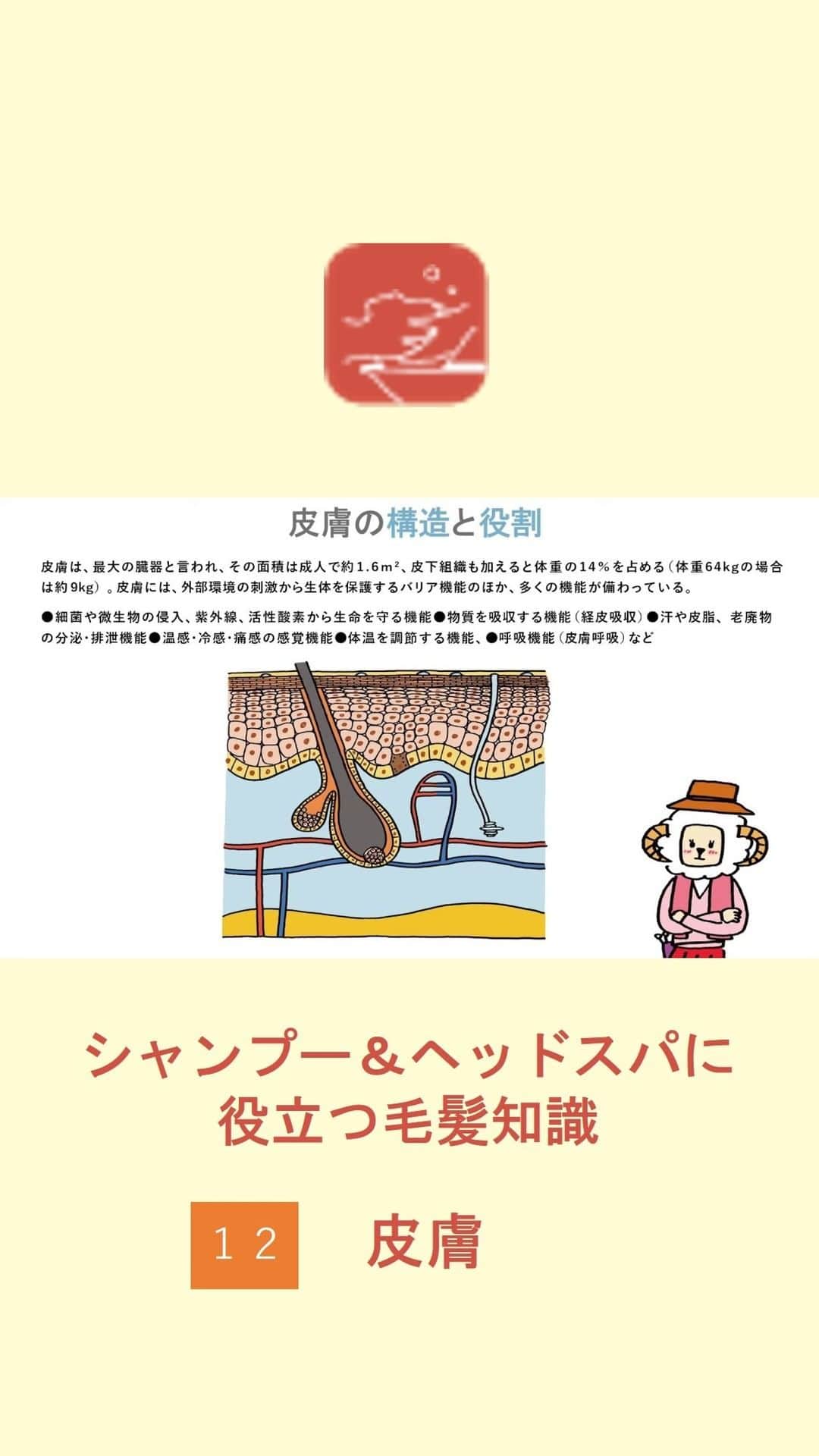 LebeL(ルベル) のインスタグラム
