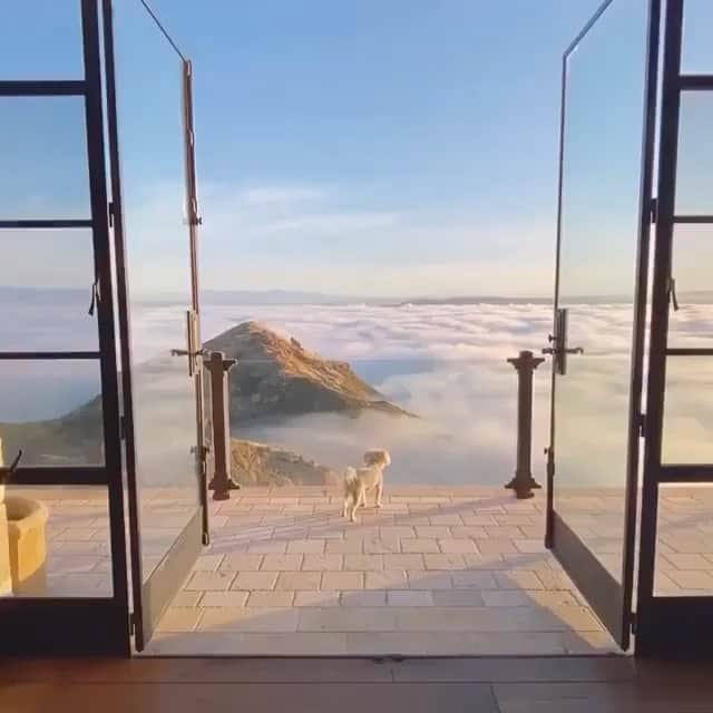 ブルーライフのインスタグラム：「a dream ⛅️ #shopplanetblue」