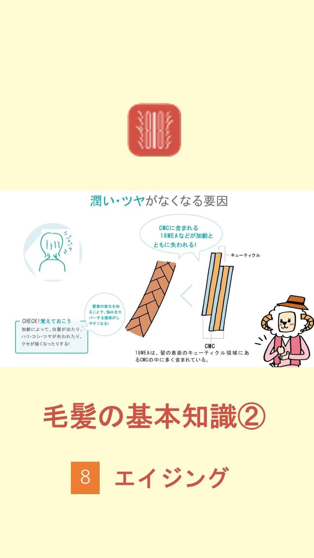LebeL(ルベル) のインスタグラム