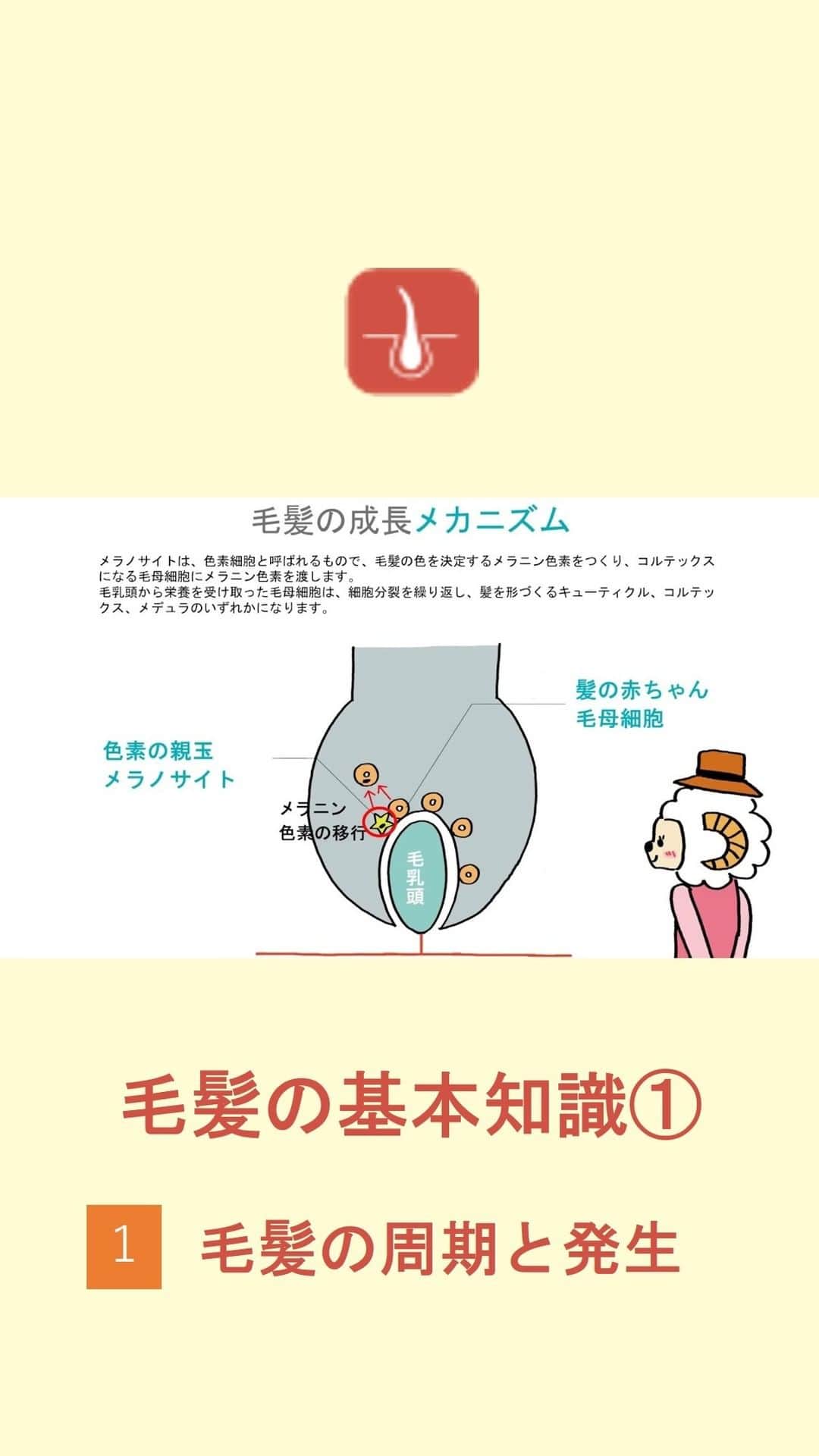 LebeL(ルベル) のインスタグラム