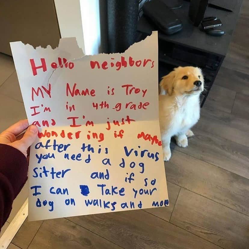 Average Parent Problemsのインスタグラム：「Hey Troy! You can take our dog for walks and more! ❤️ Found on @barked」