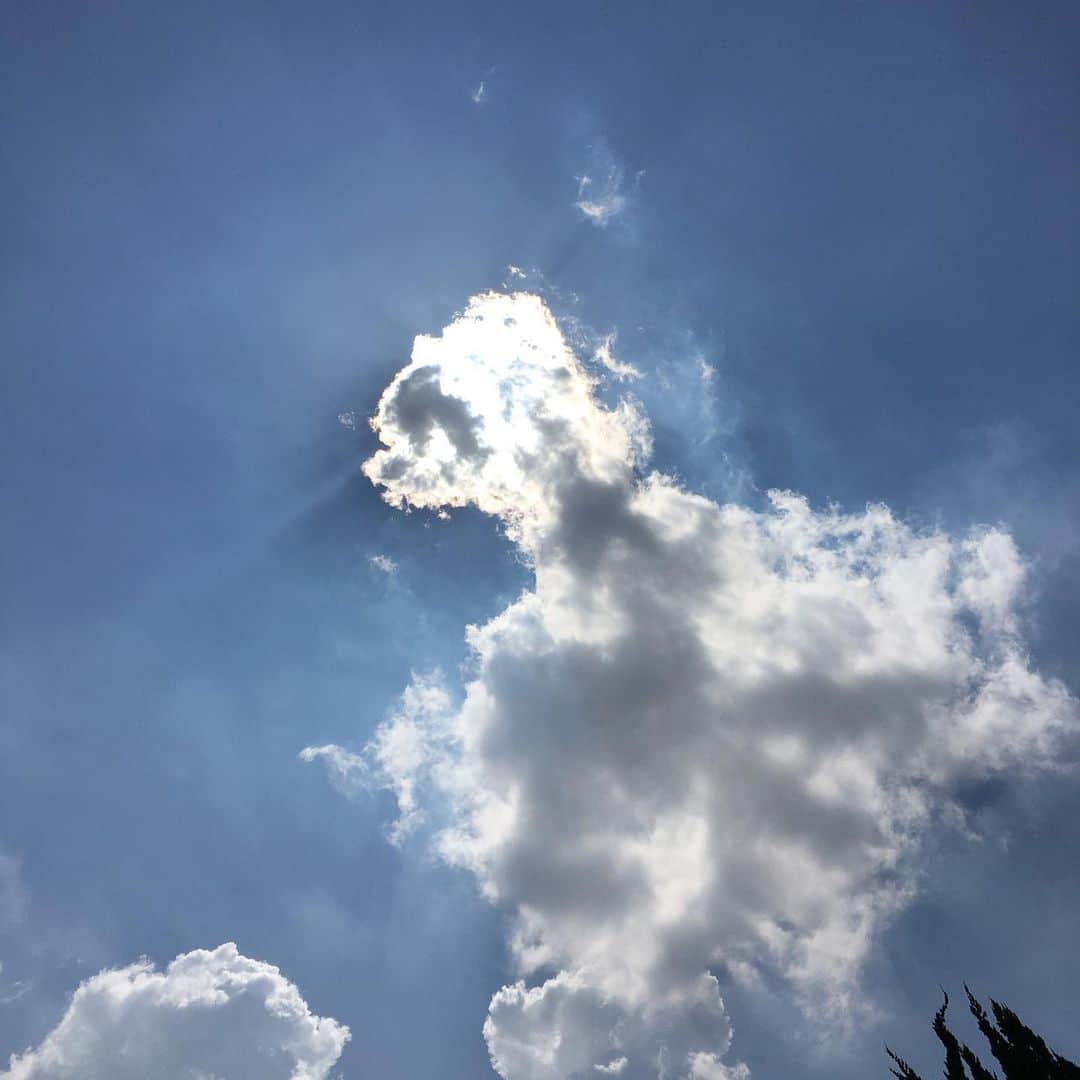 平野由実さんのインスタグラム写真 - (平野由実Instagram)「つかぬ間の曇り空。 #空 #sky #曇り空 #今日も暑い」6月24日 10時18分 - yumi_hiranoo