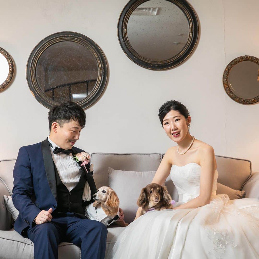 チャペル・ド・コフレさんのインスタグラム写真 - (チャペル・ド・コフレInstagram)「愛犬も一緒に結婚式✨ * おふたりのだいすきな愛犬💕 可愛いお洋服を着て結婚式に参加してくれました♪  結婚式でのリングドック💍も大人気です！ * 前撮りでペットと一緒に撮影したい！という方も是非ご相談ください✨ *  #愛犬フォト #ペット婚  #ペットと結婚式  #結婚式#チャペルドコフレ #花嫁 #大阪プレ花嫁 #少人数結婚式#家族婚 #アットホーム結婚式 #オープンキッチン #梅田結婚式場#wedding #先輩カップル#花嫁準備#先輩花嫁#関西花嫁#大阪花嫁 #関西の花嫁さんと繋がりたい #花嫁diy#diy#ドレス#洋装 #フォトウェデング#前撮り #photo#photowedding#switch梅田」6月24日 10時35分 - chapelle_de_coffret