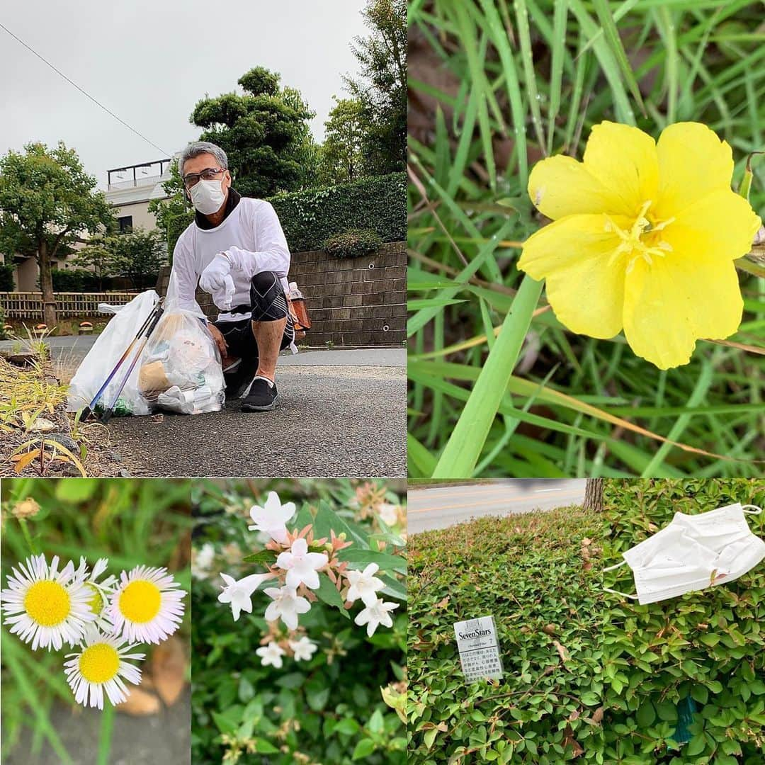 渡辺裕之さんのインスタグラム写真 - (渡辺裕之Instagram)「久々の夢拾い 今朝の美人達  捨てられた夢達 風に乗って川から海へ #夢拾い #花 #生命 #ポイ捨て  #御用済み #海のゴミ」6月24日 10時51分 - hiroyuki6267