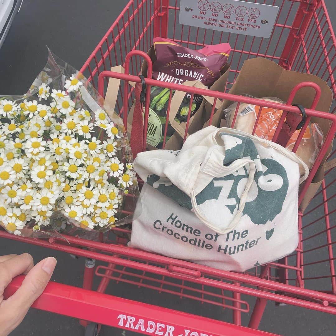 uinoloscaのインスタグラム