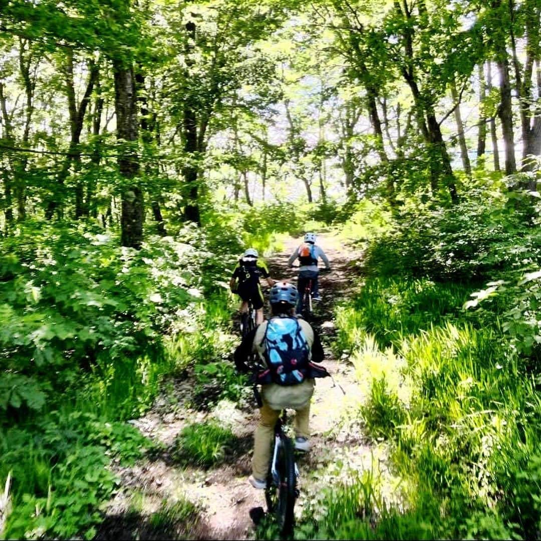 脇阪寿一さんのインスタグラム写真 - (脇阪寿一Instagram)「白馬岩岳マウンテンバイクトレーニング 〜最高の環境、最高の仲間たち〜  Produced by #三橋淳 @jun38c  Special thanks #白馬村  #白馬岩岳マウンテンバイクパーク #白馬観光開発 #spicy #堀勇 #リトルアラスカン #雨宮康平 #ニポポ #平林安里  #mtb #trailride #downhill  #444 #spy #gopro8  #youtube #三橋淳と脇阪寿一の本気で遊ぼう」6月24日 12時27分 - juichiwakisaka