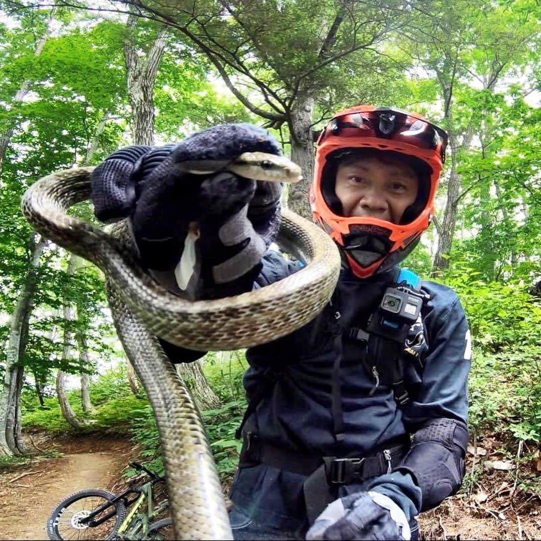 脇阪寿一さんのインスタグラム写真 - (脇阪寿一Instagram)「白馬岩岳マウンテンバイクトレーニング 〜最高の環境、最高の仲間たち〜  Produced by #三橋淳 @jun38c  Special thanks #白馬村  #白馬岩岳マウンテンバイクパーク #白馬観光開発 #spicy #堀勇 #リトルアラスカン #雨宮康平 #ニポポ #平林安里  #mtb #trailride #downhill  #444 #spy #gopro8  #youtube #三橋淳と脇阪寿一の本気で遊ぼう」6月24日 12時27分 - juichiwakisaka