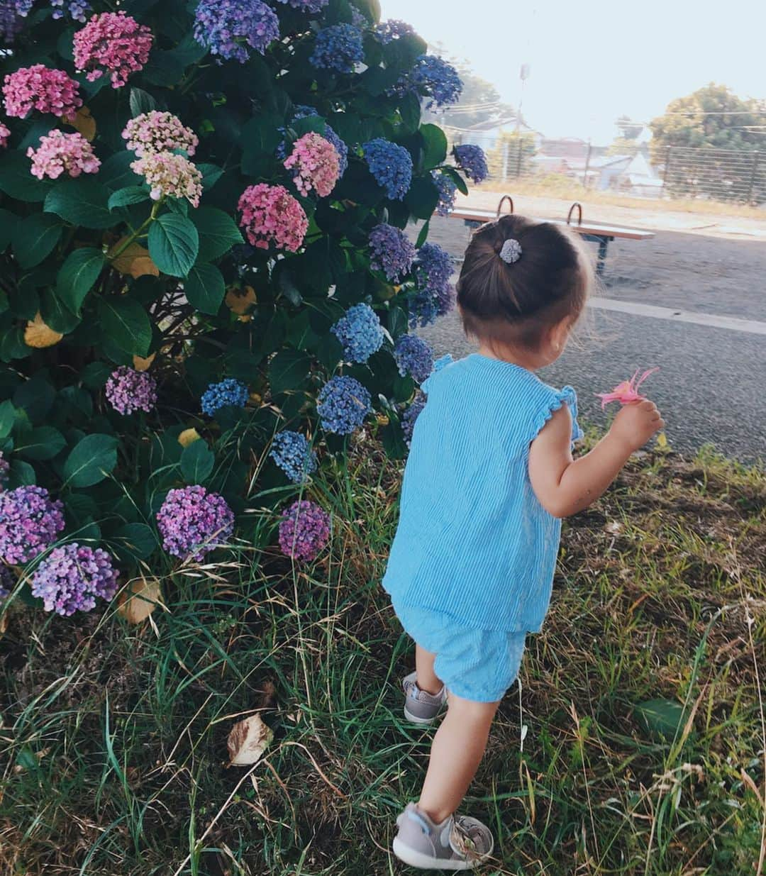 高橋菜摘のインスタグラム