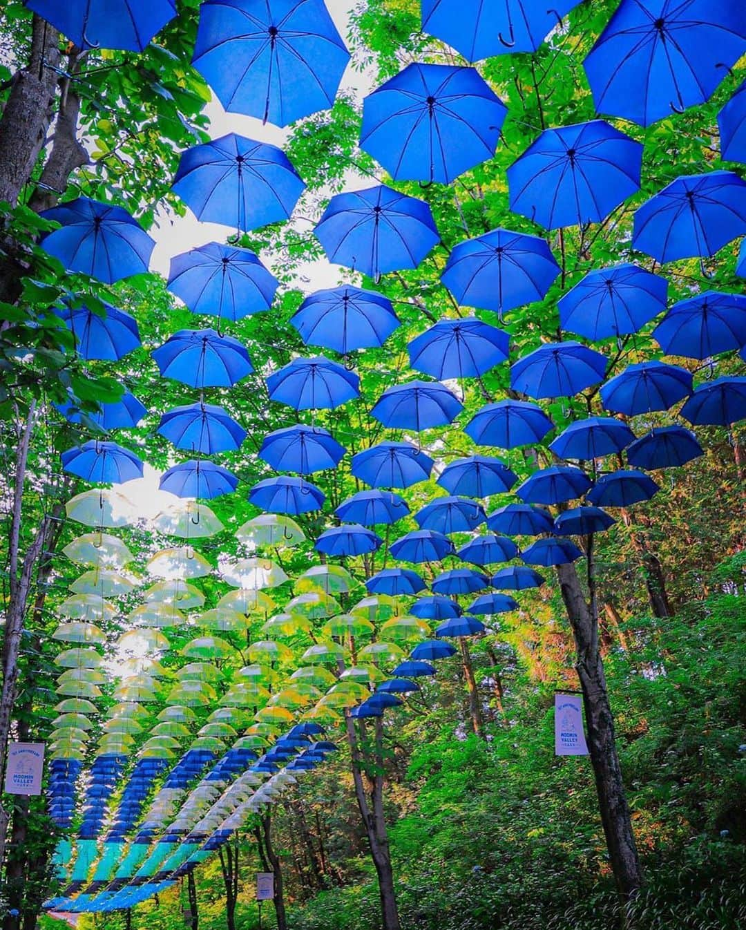 楽天トラベル さんのインスタグラム写真 - (楽天トラベル Instagram)「こんにちは😊 今日は埼玉県のメッツァで行われているアンブレラスカイのお写真をご紹介します☂ カラフルな傘に雨の日も楽しくなりそうですね✨ ーーーーーーーーーーーーーー 📍#メッツァ #アンブレラスカイ （埼玉県 飯能市） ーーーーーーーーーーーーーー 約2,000本の色とりどりの傘が広がる「メッツァ アンブレラスカイ・デザインプロジェクト2020」 marimekkoなど世界的なブランドでデザインを手がける鈴木マサル氏がアートディレクターを担当した傘の回廊がムーミンバレーパークとメッツァビレッジの2ヶ所に出現します。 ＊展示期間がエリアによって異なります。 ＊お出かけの際は営業情報や注意事項などを公式HPなどでご確認ください ーーーーーーーーーーーーーー ◆埼玉県飯能市宮沢327-6 ◆西武池袋線飯能駅北口よりバスで約13分 ーーーーーーーーーーーーーー Special Thanks💓 📸1枚目 @mi._.sa30 📸2枚目 @emiemi_87 📸3枚目 @ko_uske 📸4枚目 @bloom.29_s 📸5枚目 @otonano_yakei_ehon  たくさんのお写真ありがとうございました😊  みなさんの #次の旅先リスト もぜひ教えて下さいね ーーーーーーーーーーーーーー 旅先で出会った美しい風景や素敵な旅館などを  #rakutentravel を付けてぜひシェアしてください😊 このアカウントでご紹介させていただきます💗 ーーーーーーーーーーーーーー  #楽天トラベル #旅行好きな人と繋がりたい #旅したくなるフォト #旅行 #国内旅行 #おうちで旅体験 #旅行好き #旅行好きと繋がりたい #travel #trip #japan #メッツァビレッジ #ムーミンバレーパーク #傘 #雨 #梅雨 ##アンブレラ #埼玉 #インスタ映え #フォトジェニック」6月24日 18時14分 - rakutentravel