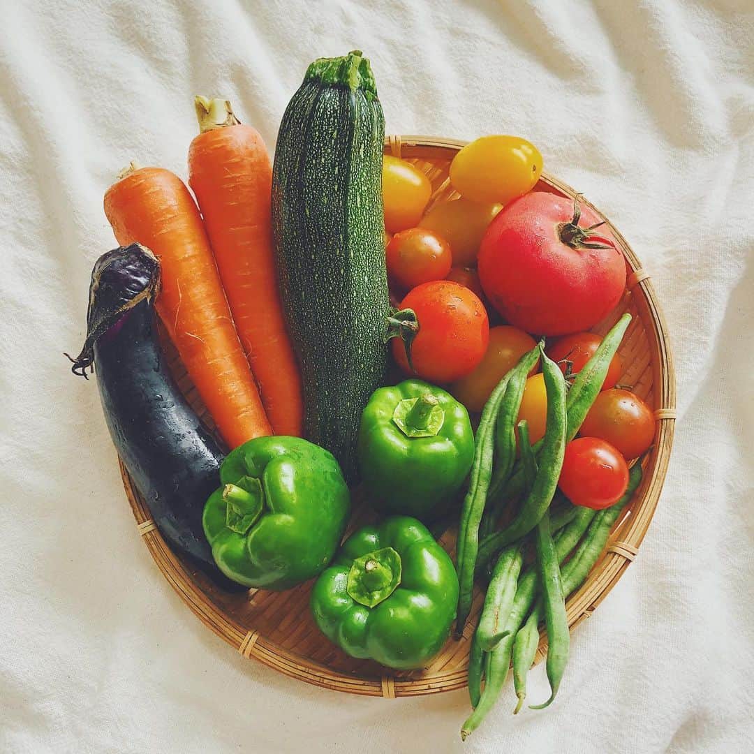 石野千尋のインスタグラム：「Summer has come 🥕🍆🥦 Fresh organic vegetables from my father’s farm. My daughter will love it🍅 . 父の畑で朝採れたばかりの無農薬野菜たちが届きました！最近の晩ご飯はだいたい野菜。くいしんぼうさんが喜んで食べるはず👶🏻💕 . #vegetables #foodie #fresh #organic #babyfood #tomato #photographer #healthyfood #cooking #🍅 #🍆 #🥒 #🥕」