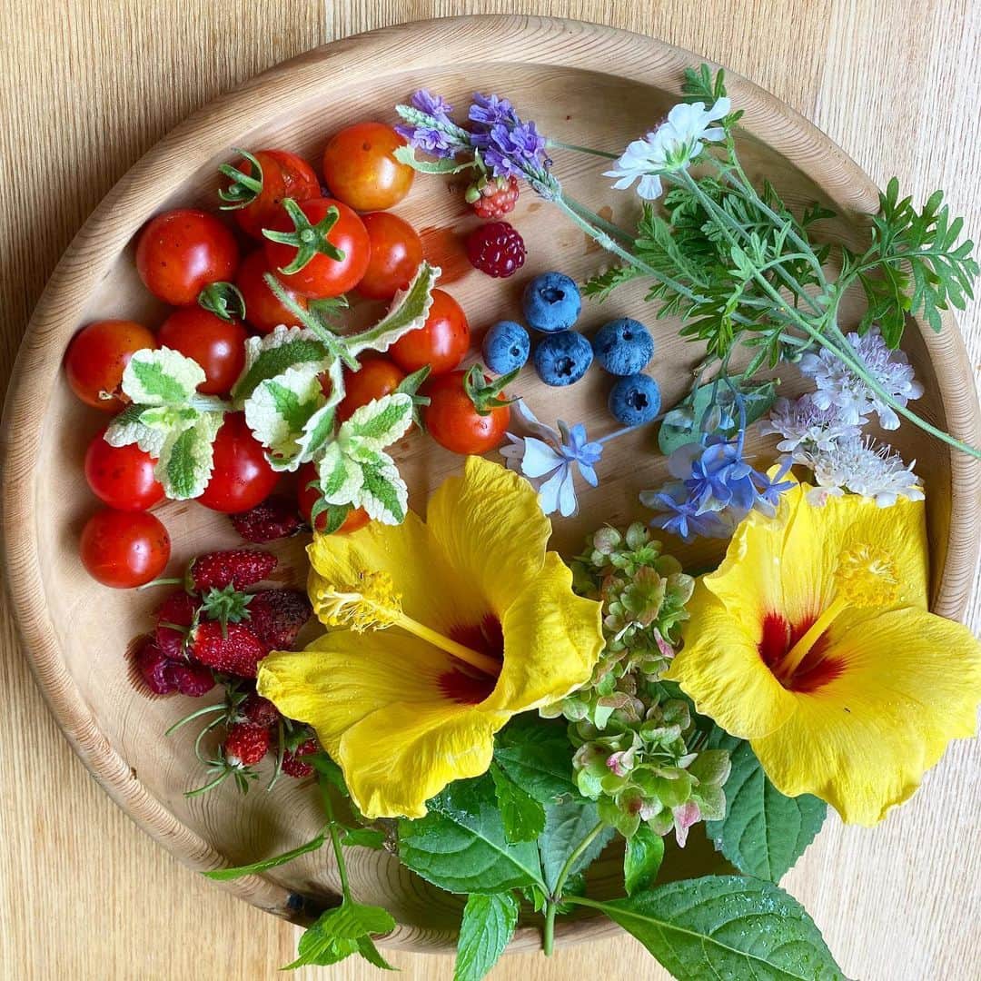 大宮エリーさんのインスタグラム写真 - (大宮エリーInstagram)「朝の収穫。 なんだかハワイ？ ブルーベリーや 野イチゴとれました。  #朝 #朝盆 #家庭菜園」6月24日 13時05分 - ellie_omiya