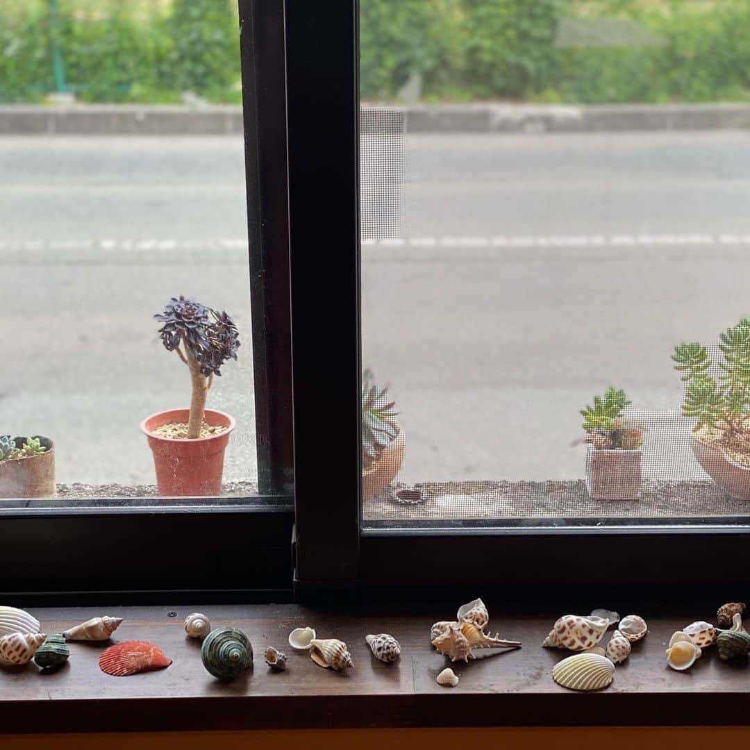 魔女菅原のグルメインスタ