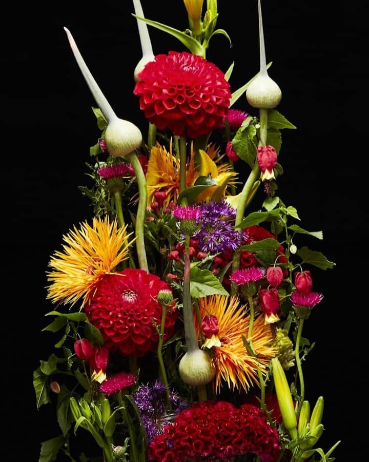 椎木俊介のインスタグラム：「Flowers  #azumamakoto #makotoazuma #shiinokishunsuke #amkk #amkkproject #flowers #flowerart #東信 #東信花樹研究所 #花  #timelapse」
