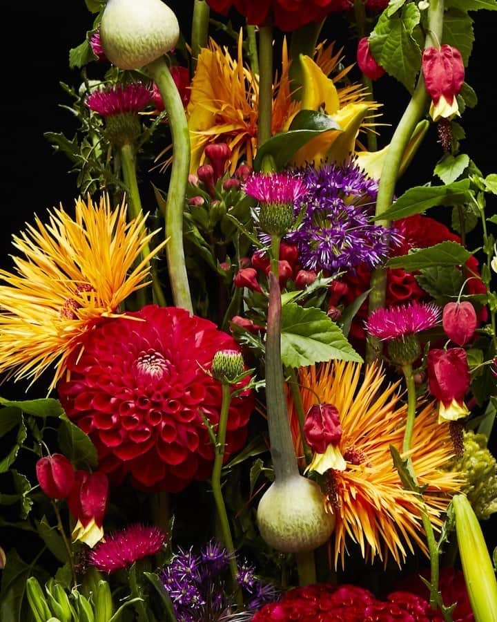 椎木俊介のインスタグラム：「Flowers  #azumamakoto #makotoazuma #shiinokishunsuke #amkk #amkkproject #flowers #flowerart #東信 #東信花樹研究所 #花  #timelapse」
