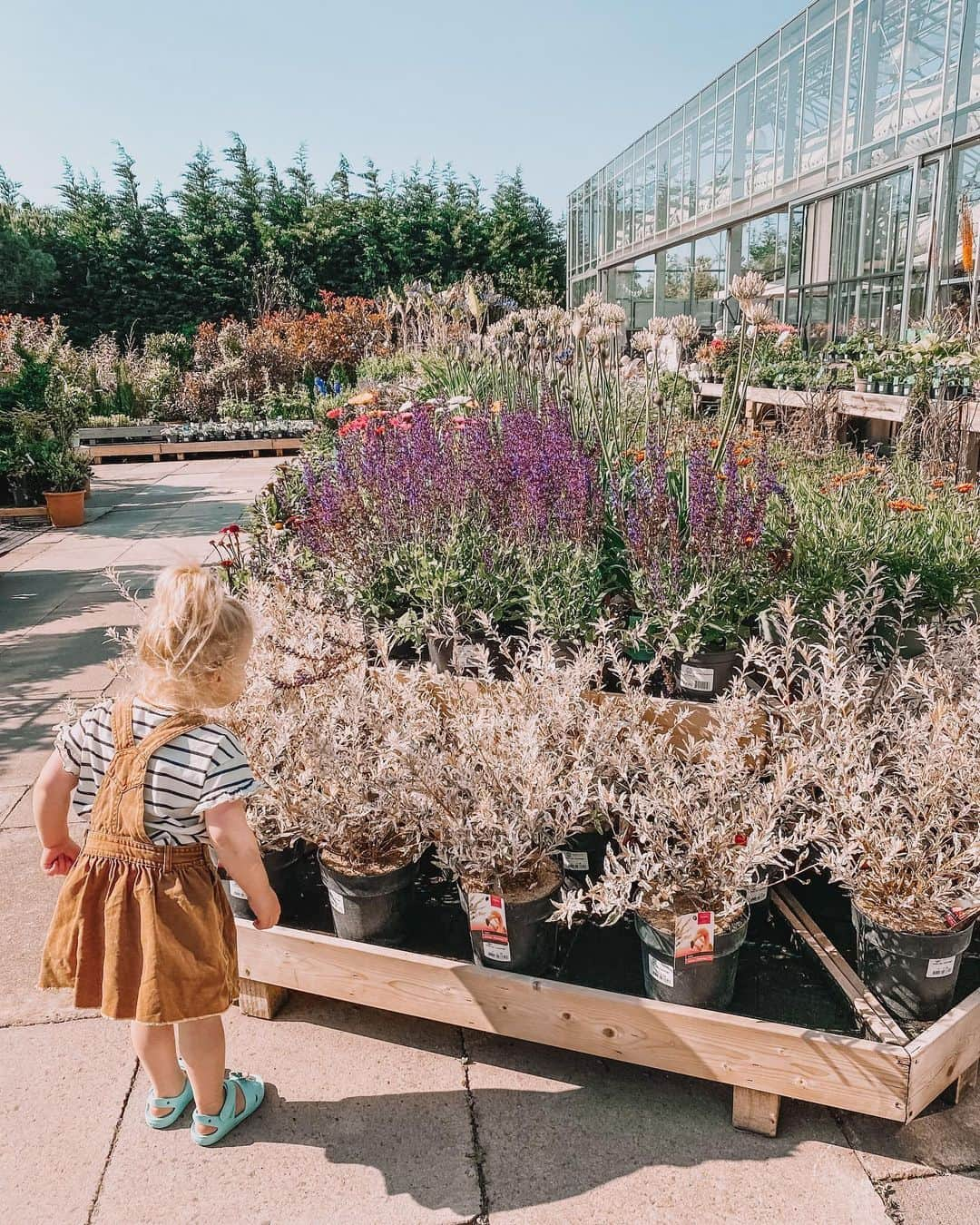 ルイーズ・ペントランドさんのインスタグラム写真 - (ルイーズ・ペントランドInstagram)「🌱Photoshoot in a garden centre anyone? Ok, I won’t lie, I only went in because they have an amazing food hall with fresh bread and amazing cheeses 🧀. I’m not a very good plant Mum! (Anyone else just kill all plants and then feel inferior?! Just me??🤣) . I tell you who did love all the flowers- Pearlie. She’s missed being out and about so much that 15 minutes in an empty garden centre was a real treat, it was lovely to see🌸 . Lemme know about your day, I like to feel connected. Will you be having a #gardencentre mooch? 🌻🧡🌻Xxx #LPMumLife」6月24日 15時29分 - louisepentland