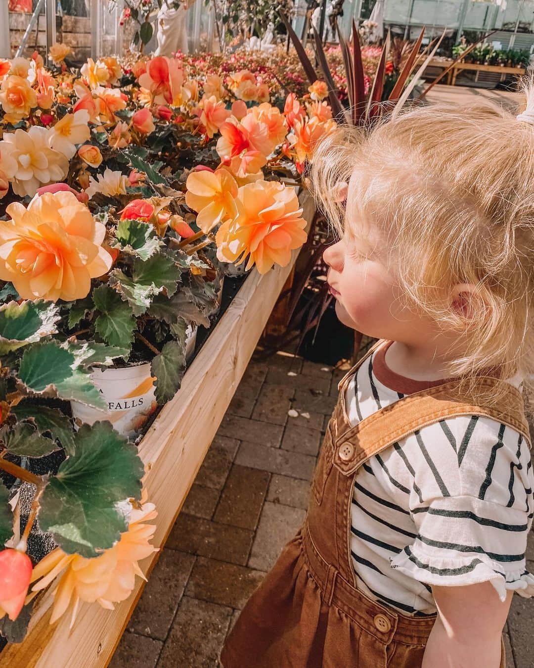 ルイーズ・ペントランドさんのインスタグラム写真 - (ルイーズ・ペントランドInstagram)「🌱Photoshoot in a garden centre anyone? Ok, I won’t lie, I only went in because they have an amazing food hall with fresh bread and amazing cheeses 🧀. I’m not a very good plant Mum! (Anyone else just kill all plants and then feel inferior?! Just me??🤣) . I tell you who did love all the flowers- Pearlie. She’s missed being out and about so much that 15 minutes in an empty garden centre was a real treat, it was lovely to see🌸 . Lemme know about your day, I like to feel connected. Will you be having a #gardencentre mooch? 🌻🧡🌻Xxx #LPMumLife」6月24日 15時29分 - louisepentland