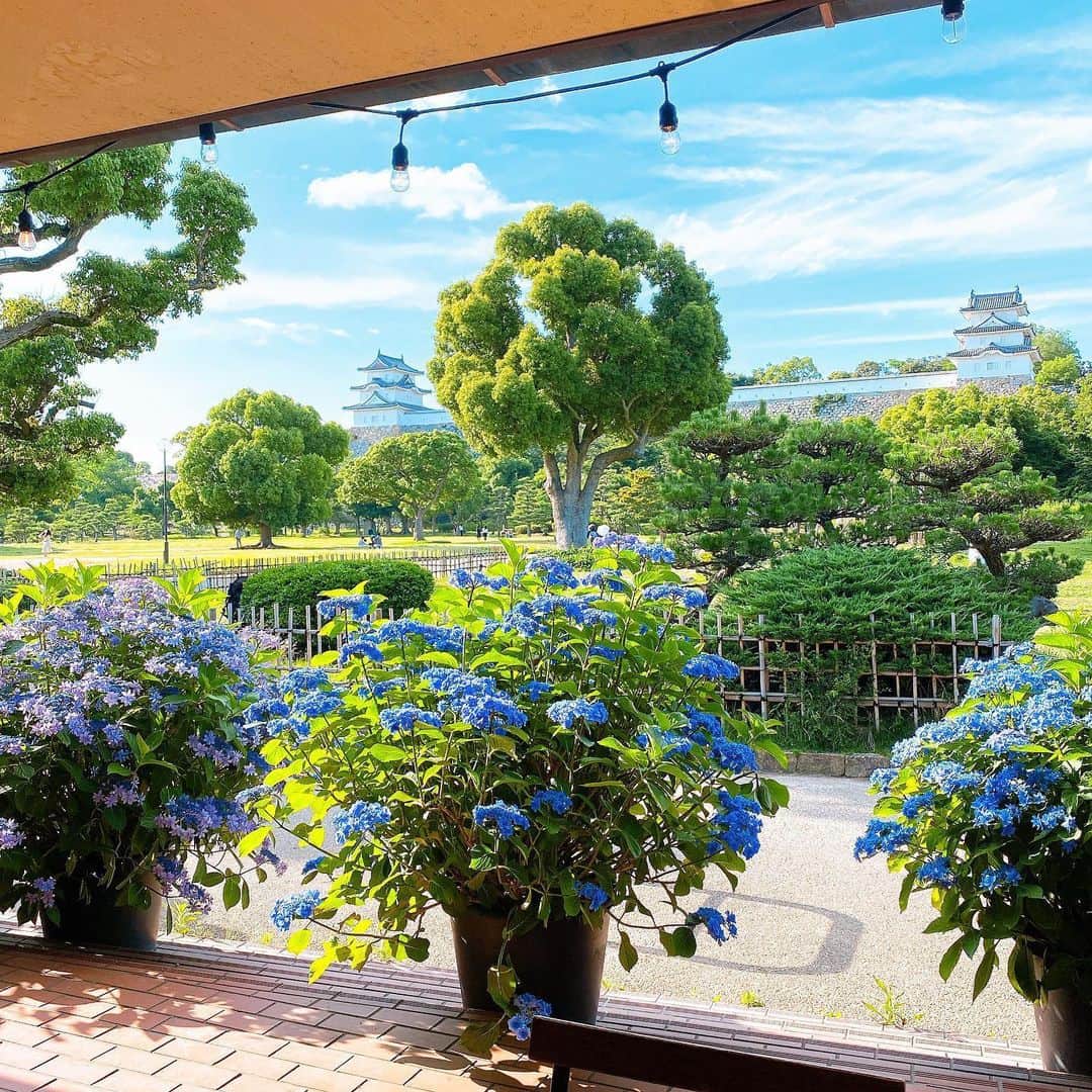 Julianさんのインスタグラム写真 Julianinstagram 明石公園にあるお洒落カフェtttの 明石城と紫陽花が見えるテラス席で Anrule Official の広告スポンサー関連の打ち合わせ コロナで予定狂いまくったけど 少しずつ出来る事から再始動 たまたま打ち合わせの日が