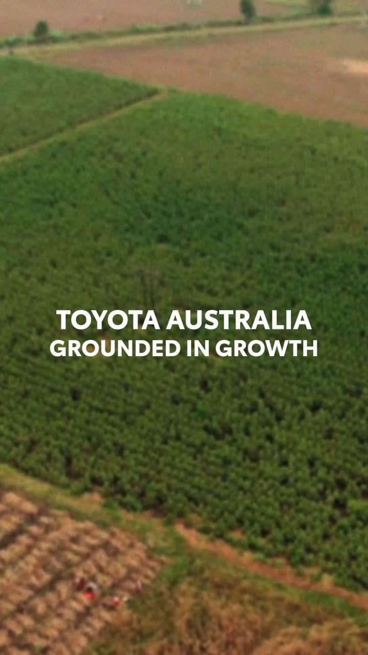 Toyota Australiaのインスタグラム：「“Every day there’s some sort of challenge, and the great thing is about the Cruiser is that it’s so well put together.” Richard Anderson’s story is emblematic of the spirit of Australia’s lion-hearted farming community. We found it fitting to feature him, his family, and their old LandCruiser, in the final instalment of our series celebrating our 60th anniversary in Australia  #ToyotaLandCruiser #ThisIsLandCruiserCountry」