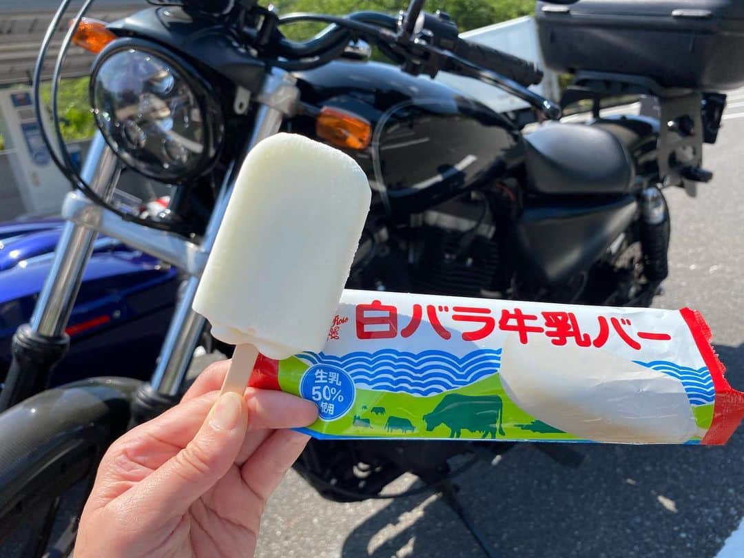 がんちゃんのグルメインスタ