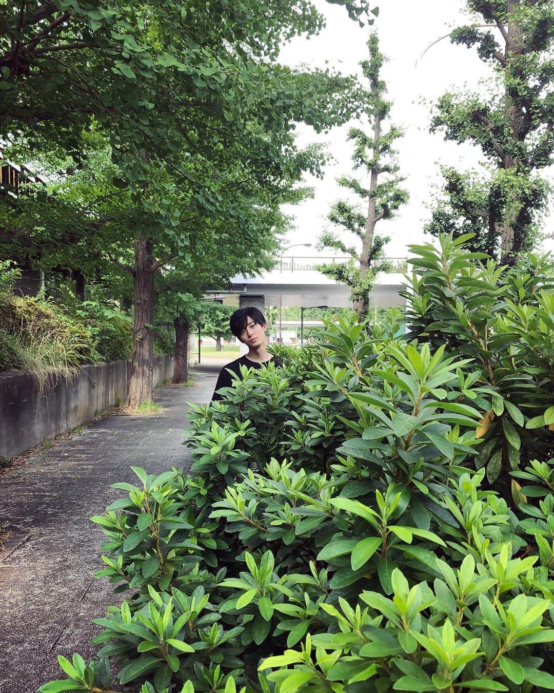 井上祐貴さんのインスタグラム写真 - (井上祐貴Instagram)「天気が良かった日の なんでもないひょっこり気味の写真」6月24日 16時28分 - inoue_yuki_