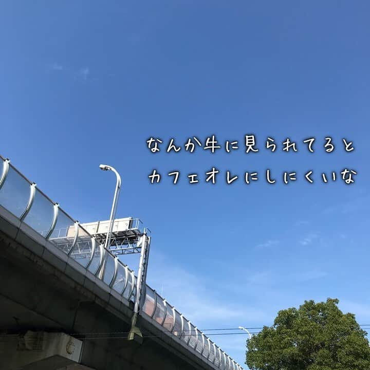 永見のインスタグラム：「#空 #大阪」