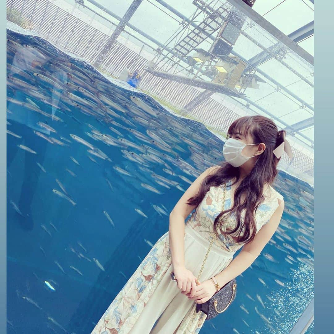 赤嶺星奈のインスタグラム：「大量のいわしさん達  #時間差投稿 #アクアマリン福島」