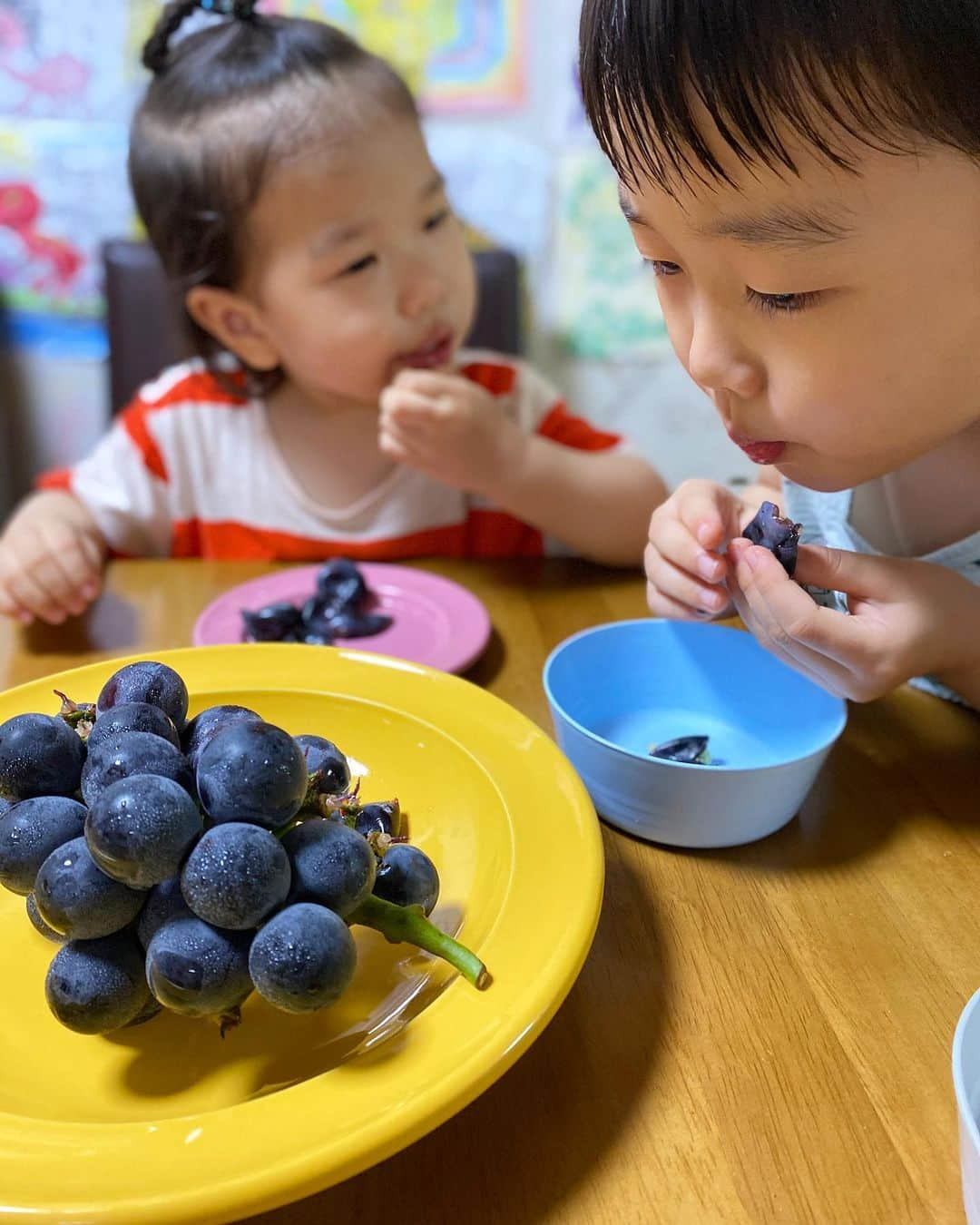 シム・ジホさんのインスタグラム写真 - (シム・ジホInstagram)「. 비가 주룩주룩.. 하늘에 구멍이 난 듯 내리는 날... 아이들과 맛있는 포도를 아민이 통해 미리 구해 먹어보니... 정말 맛있다~ 근데 난 몇 알 못 먹었지만.. 아이들이 엄청 잘 먹으니 배가 불러...라고 해야겠지 ㅋㅋ. 아껴먹고 싶은데 내일이면 없어질 듯 ㅋ. 또 시켜야겠다... . #장마인가 #하늘이구멍남 #포도 #거봉 #존맛 #JMT」7月23日 21時06分 - pickybonbon