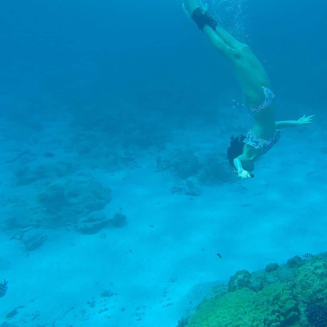のインスタグラム：「#seemysea for 海の日🐬 子供の頃も今も、行けば必ず至福で満たされる場所、海。 生命の足跡、生命のリズムが詰まった私たちの故郷。未知なる歴史もまだまだありそうでどきどきする♩  @alisa_f が繋いでくれた海洋保全バトン、#seemysea @soa_japan 企画チャレンジ﻿は1投稿につき78円海洋保護団体に寄付がされます。 本日までとなるようですが投稿を見てくれた皆さん自由にバトンを繋いでいただけたら嬉しいな🌏🐋🐠🌈♥️ ﻿  #seemysea #ocean #海の日」