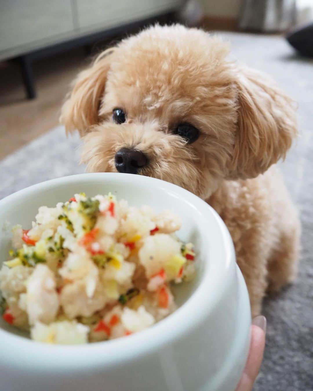 くるみたんのインスタグラム