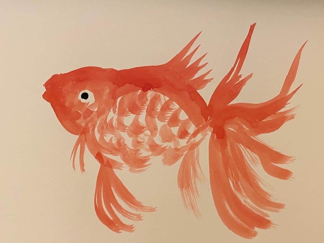 浅野忠信のインスタグラム