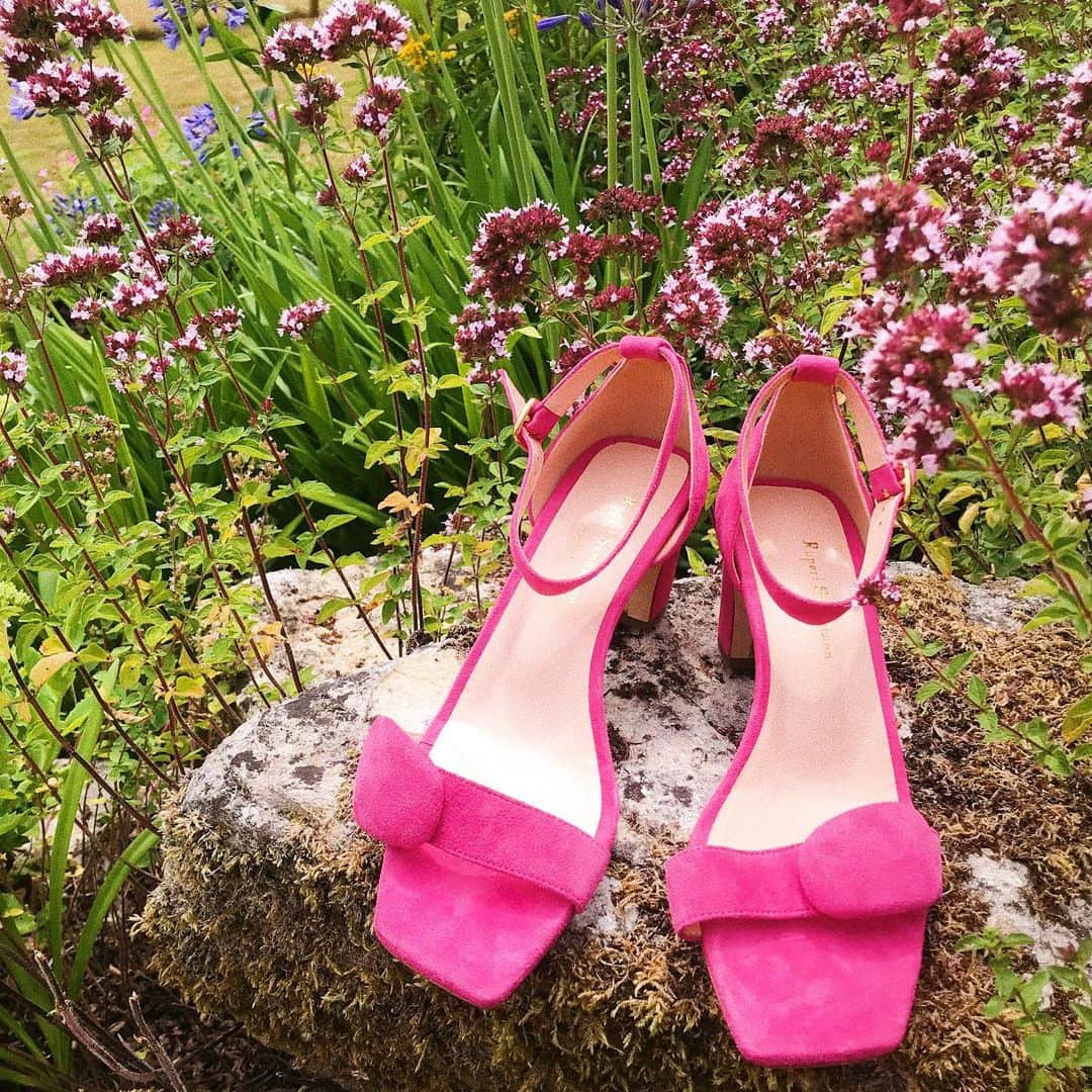 ルパートサンダーソンのインスタグラム：「In the garden 🌸🍃🦋 I Melissa in French Rose Suede I #SS20 #SummerSale #PinkShoes #ShoeLove #RupertSanderson」