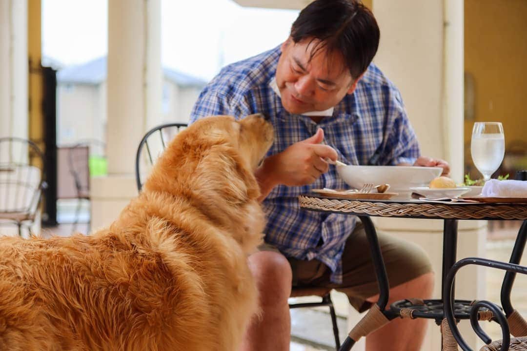 メゾン エルミタージュのインスタグラム