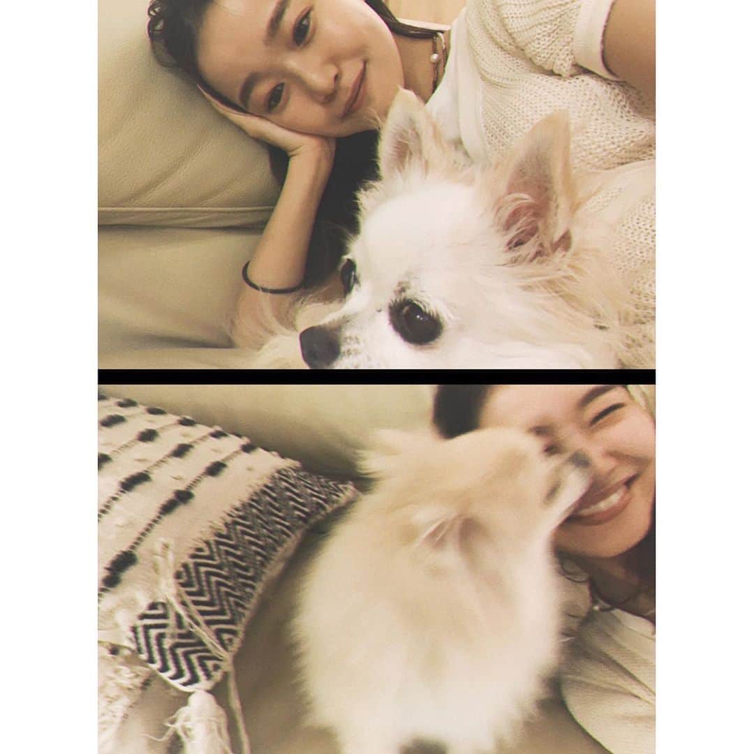 猪鼻ちひろのインスタグラム：「🍑👦🏻 はぁ久しぶりだ、桃太郎 モモとタロウ♡ 気付いたら6時間も話していて 終電で慌てて帰った夜。 あー美味しいご飯いただいて 幸せな時間だったよ 心から癒やされた。。♡ #もも #たろう #ももたろう #🐶 #可愛すぎる　 #ずっとピタッとくっついてくれるの #ずっとペロペロしてくるよ　 #犬と子どもに好かれるの #嬉しい #大好きが伝わるのよっ #上手に抱っこできたかなぁ #可愛かった #ビール3センチで酔っ払い #血管が更に浮き出る #お酒に弱い体質治す方法はないのか？ #犬アレルギー #気にしない」