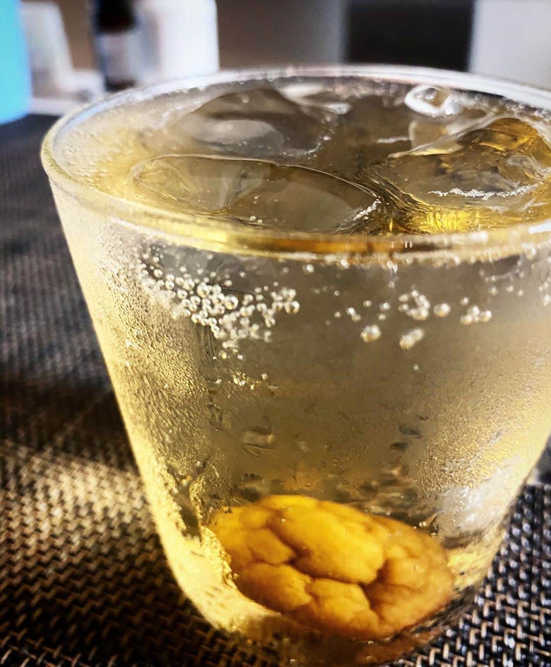 神室舞衣のインスタグラム：「2018年の自家製梅酒をソーダ割で。 作ったものの、太りそうでなるべく避けたい飲み物なんですが飲むとシュワッと爽快な気分にさせてくれるので自分の中で再ブーム来てます。 ちなみにこれはブランデーで作った梅酒で他にはホワイトリカーと日本酒で作ったやつもあるけど殆ど飲んでない🤣  梅は早めに出すか入れっぱなしか議論はありますが…私は梅も食べたいし（取るのも面倒）なので入れっぱなし派👻 でも一昨日飲んだ時に苦味を感じて😅 調べると漬けすぎると、種から出る成分が苦味を出すらしい。。 早く出すには理由があるんだね。って思いました。その苦味も楽しんでいいみたいなのでそのままにしとこうかな？ どうなんだろう。。爽やにするには早めに出したがいいし、今から梅を出してもしばらく置いとくと苦味が取れるらしくそれなら出すか。。 でもしわしわな梅はカリカリで美味しいからなぁ😽 冷凍梅を使うとふんわりに。 青梅とか黄梅でも味が変わるし深いですよね。。 今年は出遅れたから、 冷凍の南高梅でブランデー梅酒と梅シロップ作ろうと思って楽しみ😆💕 そう言えば、この梅酒って愛犬の花まるが癌になってもう生きれないって年に漬けたんだ。なのに2年経ってこれ飲んでる時にまだ横にいる。 絶望もあったし、今も癌細胞は日々育ってるからまたその時はいずれは来るんだけど今は乗り越えて生きてくれてる事に幸せを感じて感謝でしかない。 すごいです、これは。 食欲がもりもりあるのよね。嬉しい。 皆さんもも夏バテしないようにご飯食べて下さいね☺︎ #梅酒 #うめしごと #梅しごと #自家製梅酒 #鼻腔内腺癌 #鼻腔内腫瘍　#鼻腔内腫瘍と闘う犬」