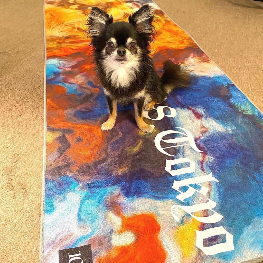 中倉隆道さんのインスタグラム写真 - (中倉隆道Instagram)「. ブートキャンプ用のヨガタオルGET！！ . おススメしてもらった @108.tokyo のヨガタオル♬ 今まで使ってるヨガマットの上に敷けるから便利！☺️👍 . . 身長180センチ（正確には181.5センチwww）あるから寝転がった時に頭から足まで収まるのを探してたんだよねー♬ . デザイン超カッコいいし、裏は滑り止め付いてるし汗が垂れても洗えるから嬉しい！！ . ルフトも気に入ったみたい🐶💕 . . これで気分も上がるから頑張れるー！ まだ頑張らなきゃなー💪 . . #ヨガマット #ヨガタオル #yoga #yogamat #SDGs #インテリア #スキッドレスタオル #トレーニング #筋トレ #ビリーズブートキャンプ #ダイエット」7月23日 20時45分 - ryudo.tokyo