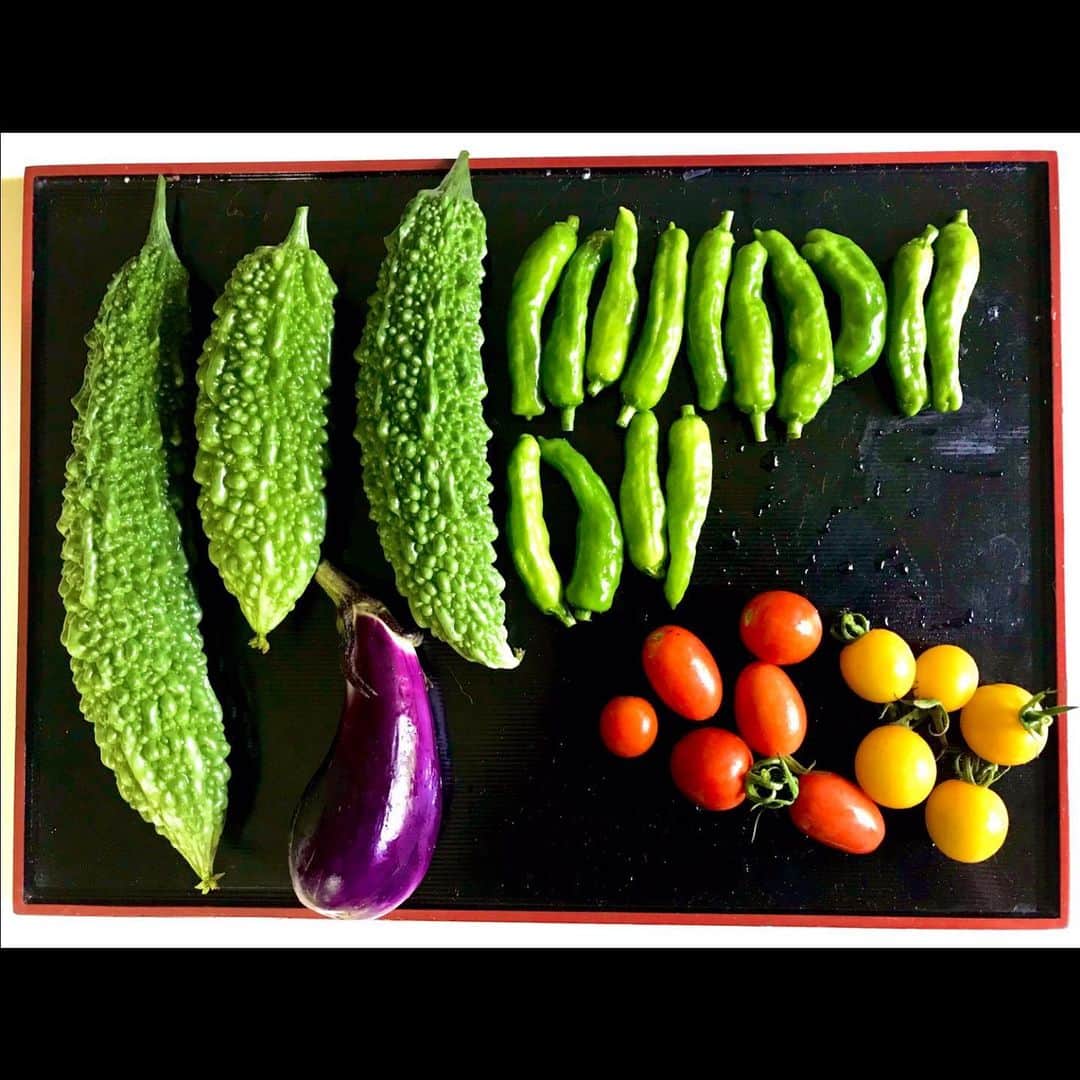 lululukululuさんのインスタグラム写真 - (lululukululuInstagram)「庭の収穫物 本日の収穫物 (息子 撮影) #野菜#家庭菜園#夏野菜#無断でアップ」7月23日 21時01分 - tajitajicat