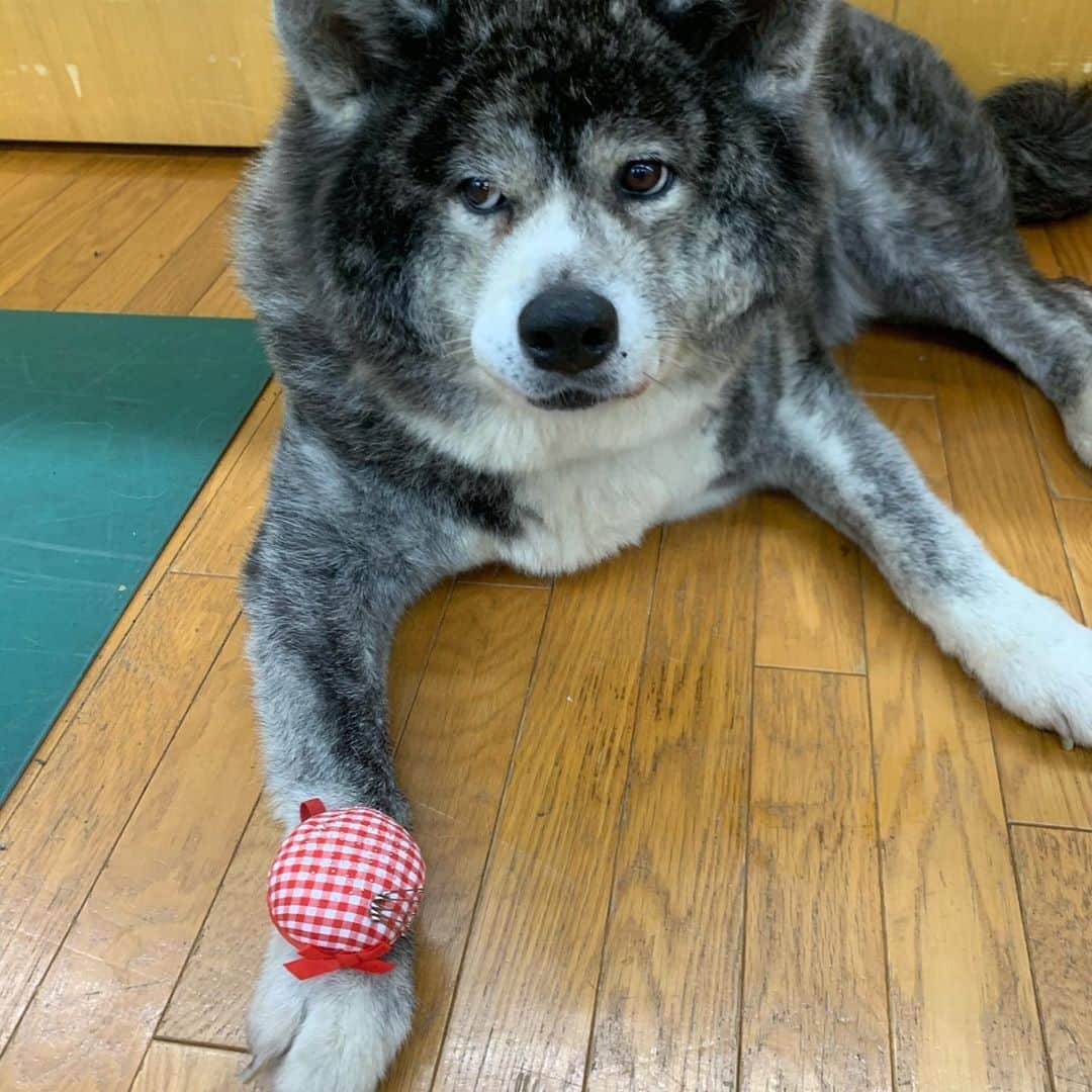 のインスタグラム：「❤️❤️❤️」