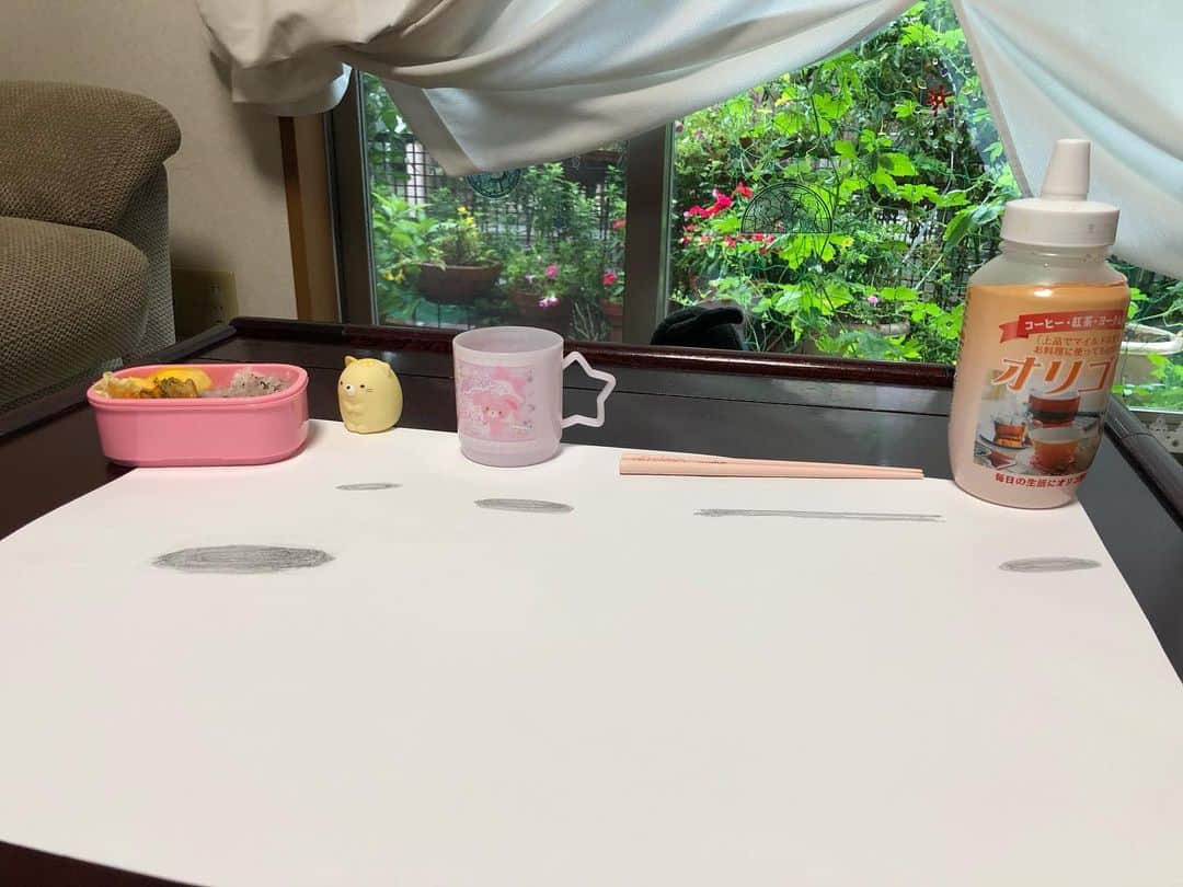 尾関高文さんのインスタグラム写真 - (尾関高文Instagram)「お弁当を浮かせてみました。  #弁当浮遊」7月23日 12時18分 - ojecky