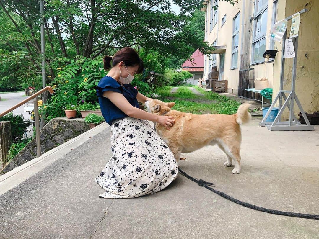 のインスタグラム：「浮気現場。犬にモテる女です。なんかハチ公の再会シーンみたいになっちゃった😂  #広島テレビ　#ひろおく便り　#神石高原町　#学校食堂 #あずきくん #しばこーぎー　#初対面」