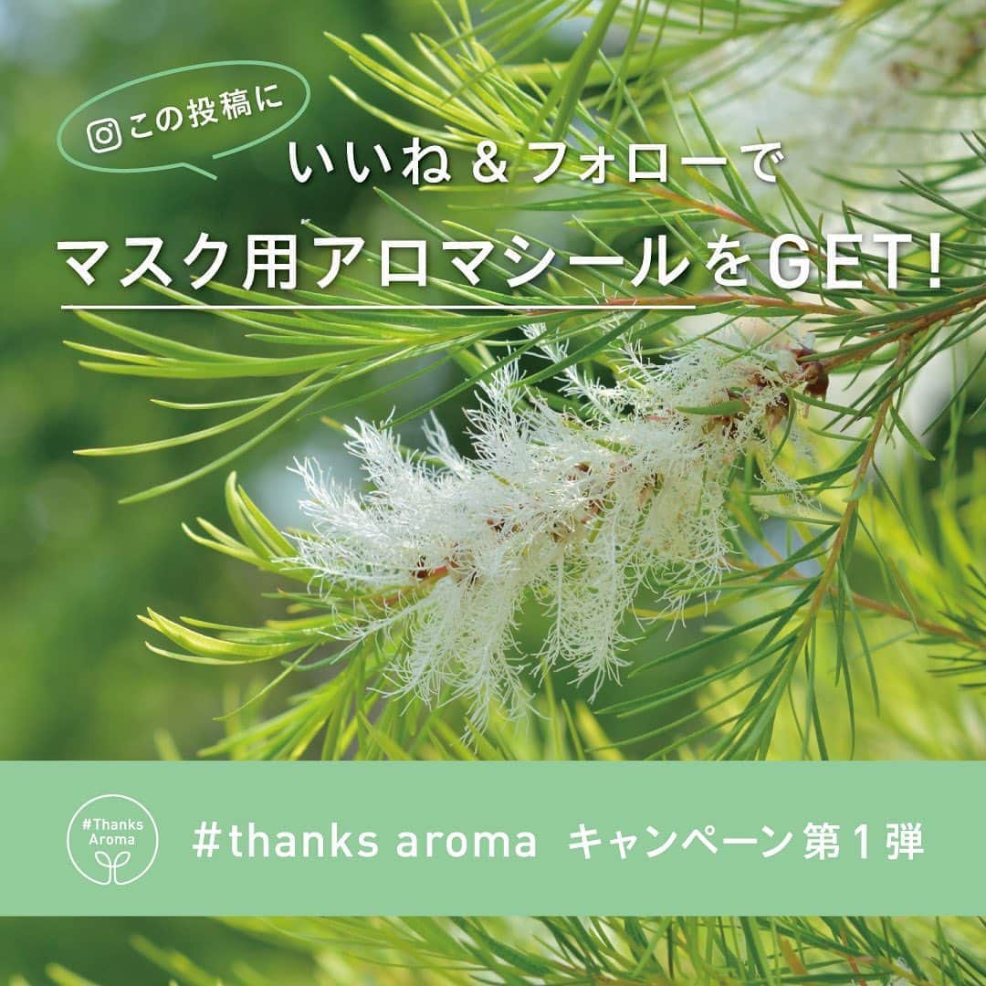 @aroma アットアロマさんのインスタグラム写真 - (@aroma アットアロマInstagram)「香りで毎日の生活を心地よく快適に。天然アロマを楽しもう｜#thanks aroma キャンペーン第一弾！いいね&フォローでマスク用アロマシールをGETしよう  「Air is clean. Reduce stress.」をコンセプトに、植物由来の香りの持つ様々な機能を伝え、広め、活用していくことを目的としたThanks Aroma Project。 ぜひみなさんも、香りに興味を持ち、日々の暮らしの中に取り入れていただき、心身共に健康でハッピーな生活をお送りください。  今回、Thanks Aroma Projectの発足を記念し、Instagramキャンペーンを行います。 第一弾は、こちらのキャンペーン投稿にいいねをいただいた方を対象に、抽選で10名様に、これからの夏におすすめ！マスク用アロマシール(15枚)をプレゼントします。 香りはすっきり爽やかで落ち着きのある「C10 CREAR TEATREE」です。  [応募期間]　2020年7月23日（木）～8月2日（日）24時 [当選商品・人数]　「C10 CLEAR TEATREE」のマスク用アロマシール　10名様 [参加方法] STEP1. あなたのInstagramアカウントから、アットアロマ公式instagramのフォロー！ STEP2. こちらの投稿に「いいね！」をしてキャンペーンに参加 ※既にフォローいただいている方は「いいね！」のみで選考対象となります。 ※Instagramを非公開設定にしている方は対象外となります。  当選された方には、8月上旬にInstagramDMにてご連絡いたします。皆さまの沢山 の投稿お待ちしています。 ※応募は日本国内在住の方で、かつ賞品のお届け先が日本国内の方に限らせていただきます。  →詳細につきましては、プロフィールURL・アットアロマHPより注意事項をご確 認ください。  #ataroma #thanksaroma #aromasticker #formask #アットアロマ #サンクスアロマ #香りのある暮らし #アロマの力 #キャンペーン実施中」7月23日 13時28分 - ataroma_official