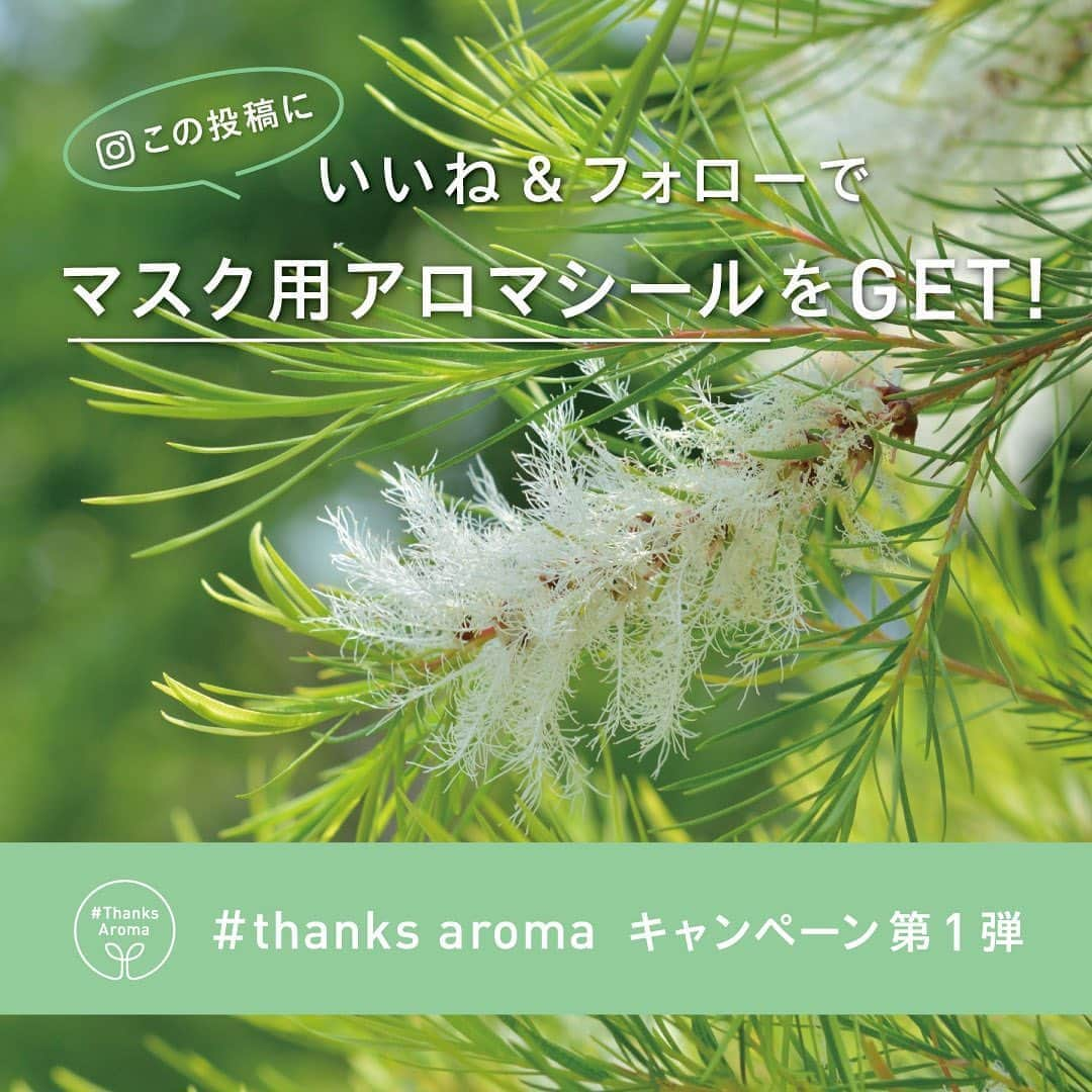 @aroma アットアロマのインスタグラム