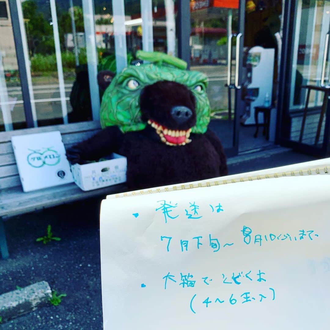 メロン熊【公式】さんのインスタグラム写真 - (メロン熊【公式】Instagram)「ザ・ファイナル  メロン🍈#プレゼント企画最終回。 どこへGO TOするか、しないか、迷っている方へ。 おうちで大人しく夕張メロンを食い散らかしましょう。  東京都民だって除外はしません！  今シーズン最後の夕張メロンです。今月末から8月10日くらいまで、お一人1箱8キロを10名くらいに送りつけます。  遠慮しなくていいよ、 思いのままインスタにコメントよこしてね！媚びたメッセージもよし！媚びないメッセージもよし！  条件はいつもと同じ、 #送り先住所が明確な方 #日本国内 #沖縄、離島は除外 #メロン食べたい人、又は犬 #facebookじゃなくてinstaやで   どしどしコメント待っとるよー、  #goto  #プレゼント企画 #夕張メロン #メロン熊  #北海道 #夕張 #ファイナル #メロン #くま #熊」7月23日 14時13分 - yubarimelonkuma