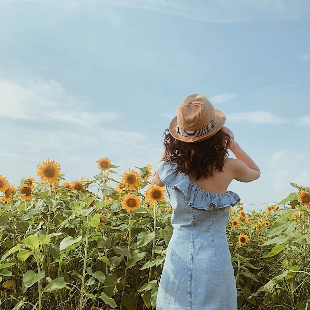 箕迫かなさんのインスタグラム写真 - (箕迫かなInstagram)「🌻🌻🌻 . . 教えてもらったひまわり畑！ 近くにあったー！ 近くで夏感じれた！ 見ただけでにっこり☺️ 今年も可愛すぎるっしょたまんないすね🙏🏾パワー頂きますわ！って感じすぎー！！！おおきに頂きー！！！おにぎりにぎりー！！！🍙 . . #ひまわり畑 #crew」7月23日 15時46分 - niconico213