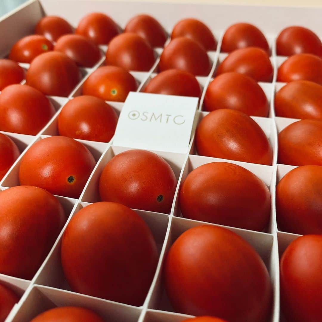 王理惠のインスタグラム：「昨年の野菜ソムリエサミットトマトグランプリ総合優勝のOSMICトマト🍅審査員として40種類近くいただきましたが、このトマトを口にしたときの衝撃は忘れられません🤩 今日もいくつ食べたんだろう笑笑#OSMICトマト」